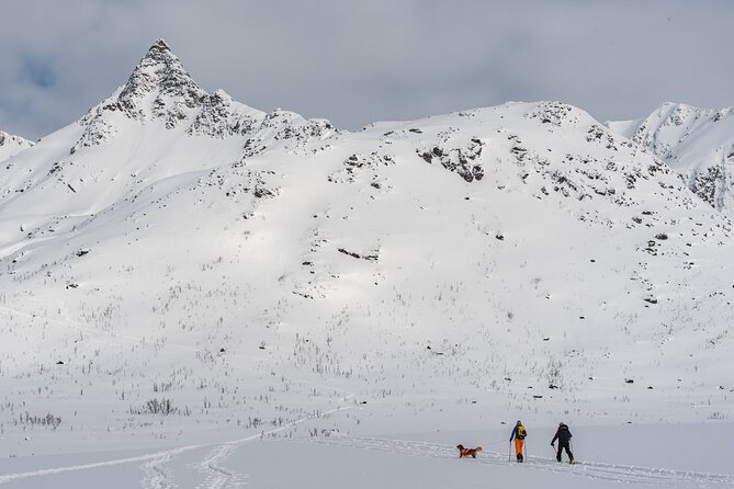 Tromsø: Arctic Snowshoeing Experience - Kvaløya Quiet: Why This Half-Day Feels Special
