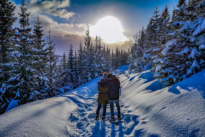 Tromsø: Arctic Snowshoeing Experience - Starting Point at Kaigata 4: Easy to Reach, Simple to Find