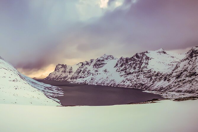 Tromsø: Arctic Snowshoeing Experience - Snowshoeing Basics That Keep You Moving Confidently