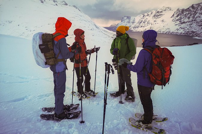 Tromsø: Arctic Snowshoeing Experience - What’s Included vs. What You Must Bring