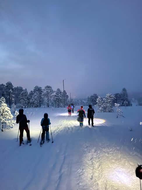 Tromsø: Artic Terrain Snowshoe Expedition with Local Guides - How the 4-Hour Plan Actually Adds Up