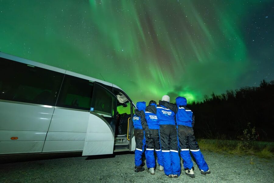 Tromsø: Aurora Borealis, Campfire, Hot Meal, Arctic Tour - Key things to know before you go