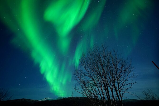 Tromso Aurora Chase by Minibus with Thermal Suit, Snack and Photo - Quick Take: What Makes This Tour Worth Your Time