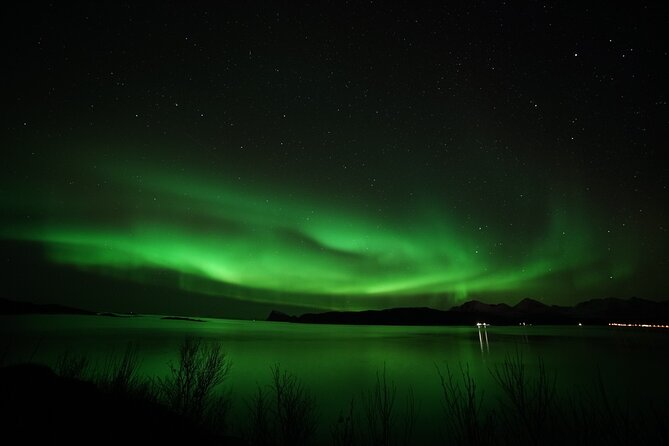 Tromso Aurora Chase by Minibus with Thermal Suit, Snack and Photo - Thermal Suit, Hot Drinks, and the Stuff That Keeps You Standing