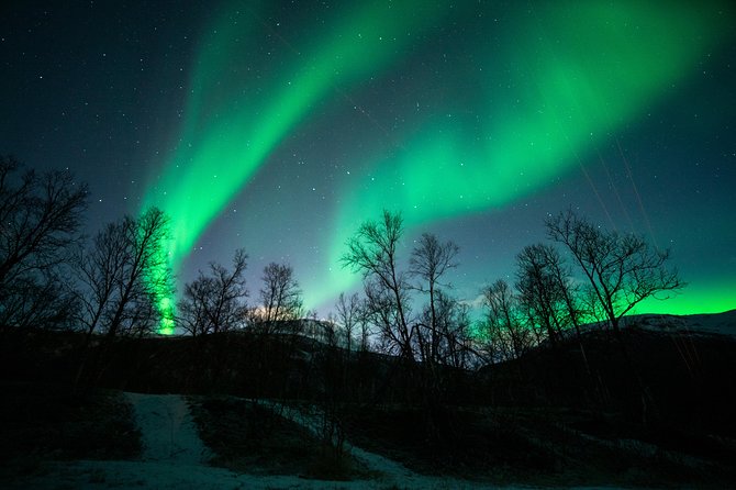Tromso Aurora Chase by Minibus with Thermal Suit, Snack and Photo - How Long You’ll Wait, and Why Time Feels Different in Tromso