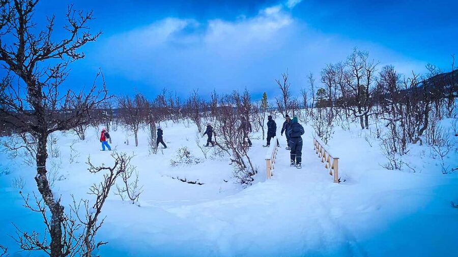 Tromsø: Aurora Crystal Lavvo Experience with Snowshoeing - Snowshoeing or on-foot hike: short distance, real winter focus