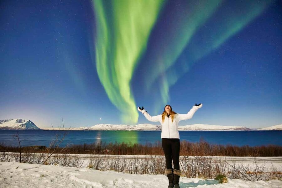 Tromsø: Aurora Crystal Lavvo Experience with Snowshoeing - Meals that keep you fueled: fish soup, dinner, and breakfast