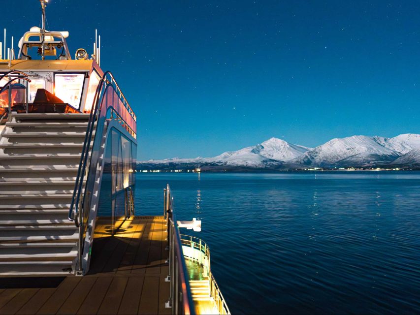 Tromsø: Aurora Dinner Cruise by Hybrid-Electric Catamaran - Quick highlights you can feel in the moment