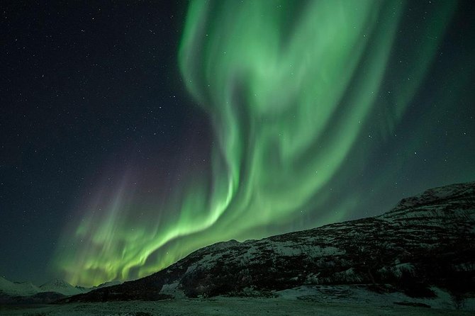 Tromso Aurora Hunt with Bonfire, Soup, Winter Gear & Transfers - What You Learn Under the Stars (Not Just a Lights Stop)