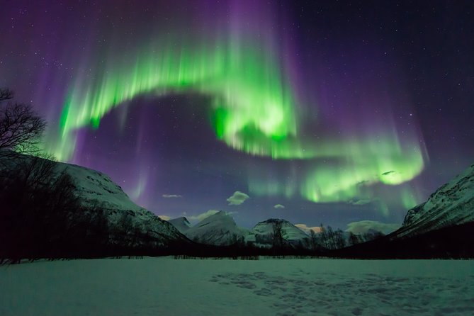 Tromso Aurora Hunt with Bonfire, Soup, Winter Gear & Transfers - Walking, Waiting, and the Small Practicalities