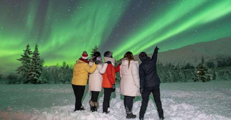 Tromsø: Aurora Safari Chase with Photos - The 7-Hour Flow, Explained Like You’re Timing Your Body