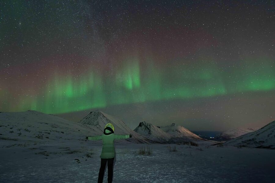 Tromsø: Aurora Tour with Photos, Campfire and Arctic Food - The campfire meal: reindeer sausage, owner-brewed chai, and real Arctic comfort