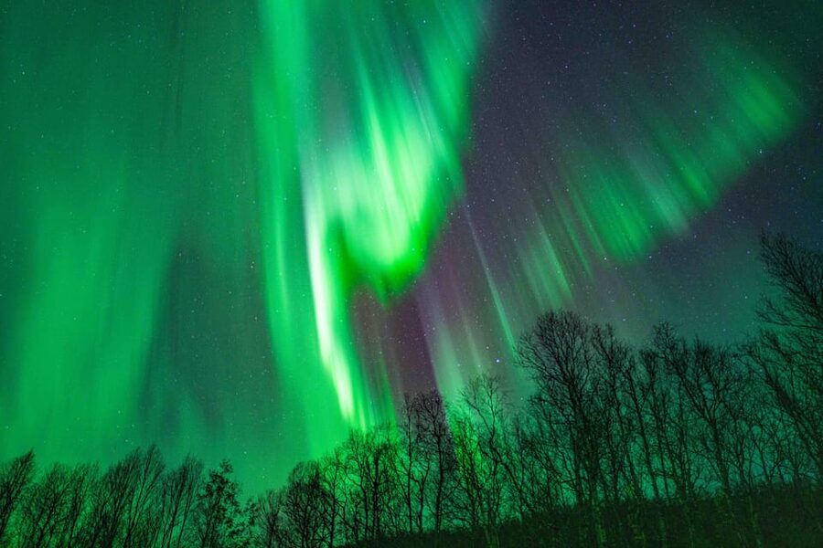 Tromsø: Aurora Tour with Photos, Campfire and Arctic Food - Photo help that gets you better shots, not just more photos