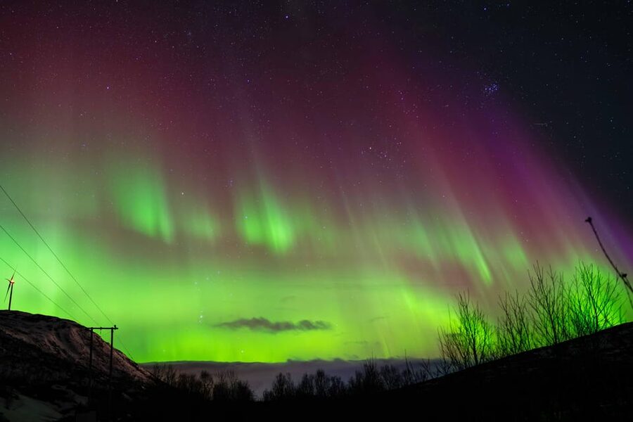 Tromsø: Aurora Tour with Photos, Campfire and Arctic Food - Is $304 per person good value in Tromsø?