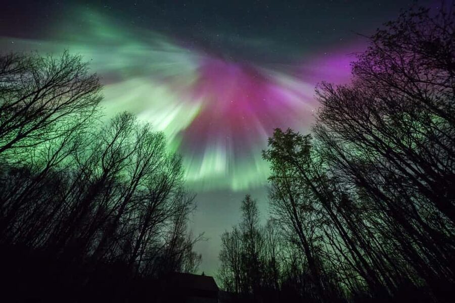 Tromsø: Big Bus Northern Lights Tour with Free Photos - If You Cross Into Finland, Here’s Why That Could Be the Best Move