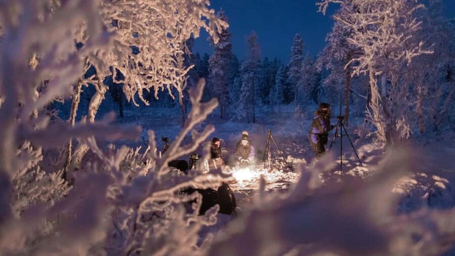 Tromsø: Big Bus Northern Lights Tour with Free Photos - Campfire Breaks and Arctic Stories: Small Comforts That Change the Mood