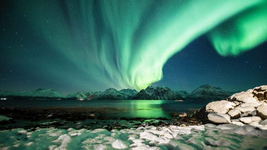 Tromsø: Big Bus Northern Lights Tour with Free Photos - Clothing and Safety: What You Need to Bring, Even With the Warm Bus
