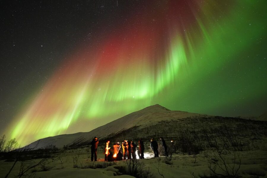 Tromsø: Chase Aurora in Minibus and Free Aurora Portrait - Key Points Before You Go