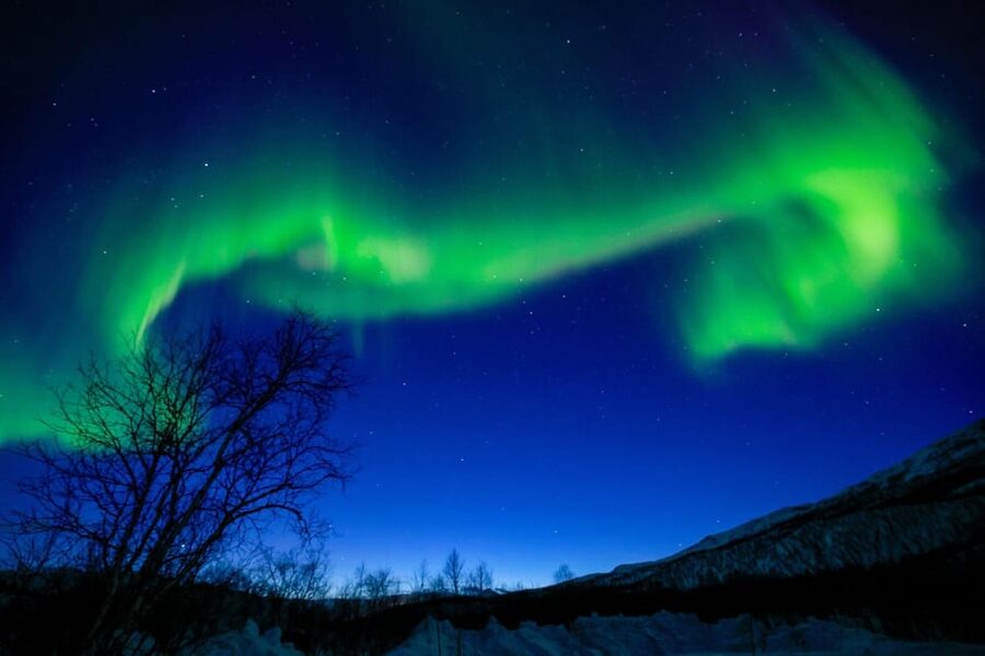Tromsø Chinese Aurora Tour - Minibus comfort, licensed driving, and the on-the-move aurora strategy