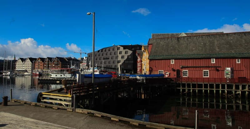 Tromsø: City Walk & Polar Museum (Private or Shared) - Arctic Cathedral area, plus photo stops you will actually want