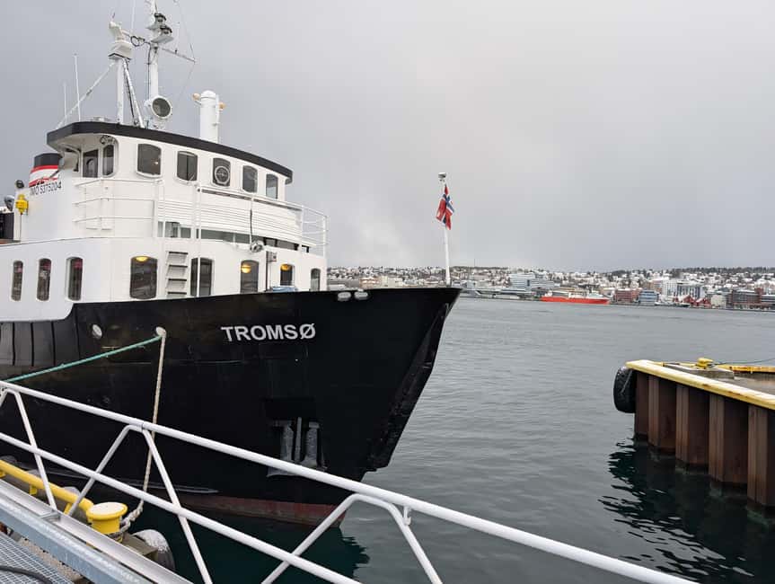 Tromsø: Classic arctic fjord cruise with lite lunch - Getting On Board MS Tromsø: Smooth Start, Real Half-Day Timing