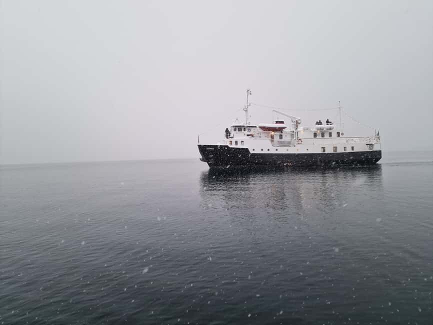 Tromsø: Classic arctic fjord cruise with lite lunch - Captain-Style Storytelling: Arctic Navigation, Wheelhouse Visits, and Captain Mads