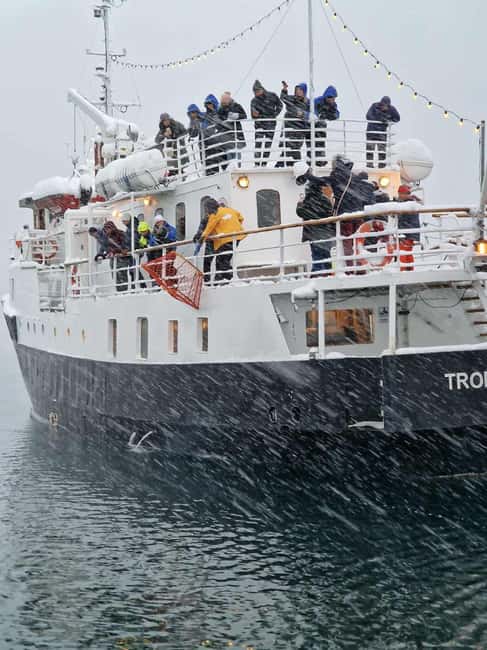 Tromsø: Classic arctic fjord cruise with lite lunch - Drinks, Snacks, and the Kelp Biofuel Angle on Board