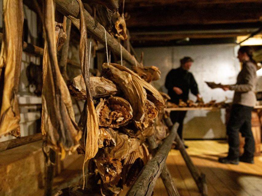 Tromso: Cod-Tasting Tour with Full Steam Museum Entry - Should you book the Tromsø Cod-Tasting Tour with Full Steam entry?