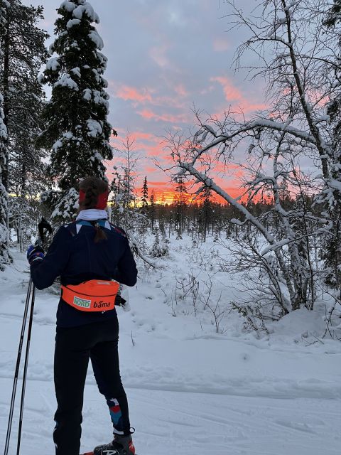 Tromsø: Cross Country Guided Skiing Course - Key highlights to expect