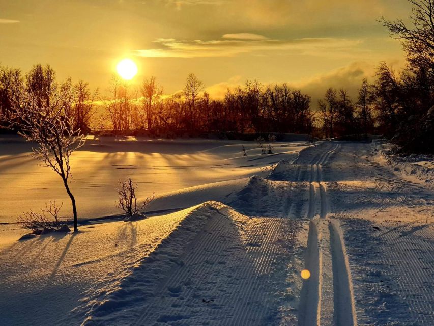 Tromsø: Cross Country Guided Skiing Course - Where you meet: Charlottenlund Aktivitetspark (and how to find the group)