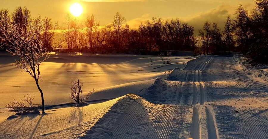 Tromsø: Cross Country Guided Skiing Course - Instructor quality: when patience turns beginners into skiers (Elias, Tuva, Elen, Sissel)
