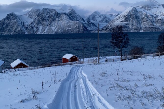 Tromsø Cross-Country Ski Adventure - Price and Logistics: The Real-World Tradeoffs in Tromsø