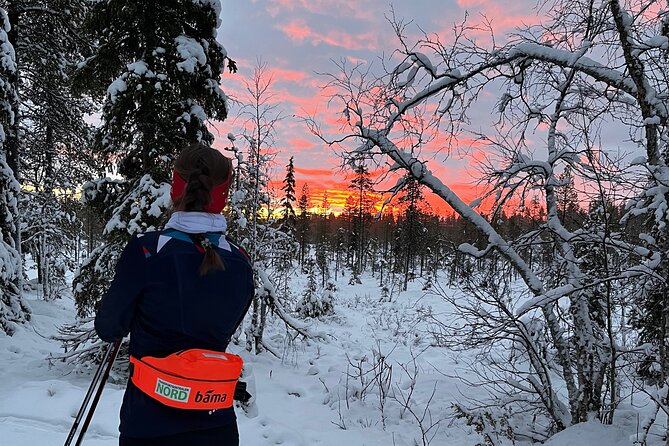 Tromsø Cross-Country Ski Adventure - Who This Tour Suits Best, and Who Might Want Another Plan