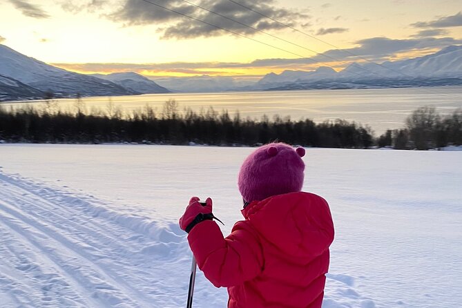 Tromsø Cross-Country Ski Adventure - Should You Book This Tromsø Cross-Country Ski Adventure?