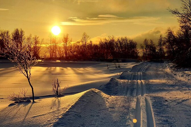Tromsø Cross-Country Ski Adventure - Skiing Near Fjords, Forest, and Mountains: Why These Trails Help You Learn