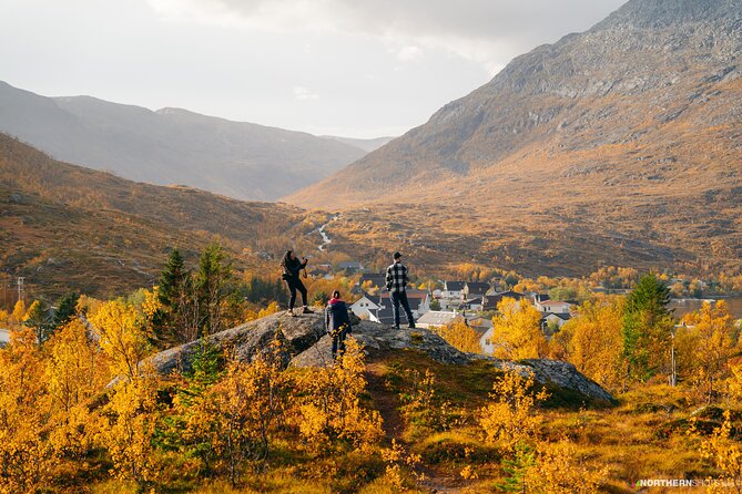 Tromsø: Day trip to the island of Sommarøy through the Fjords - What you’ll actually do on the drive: stops, viewpoints, and the fjord photo plan