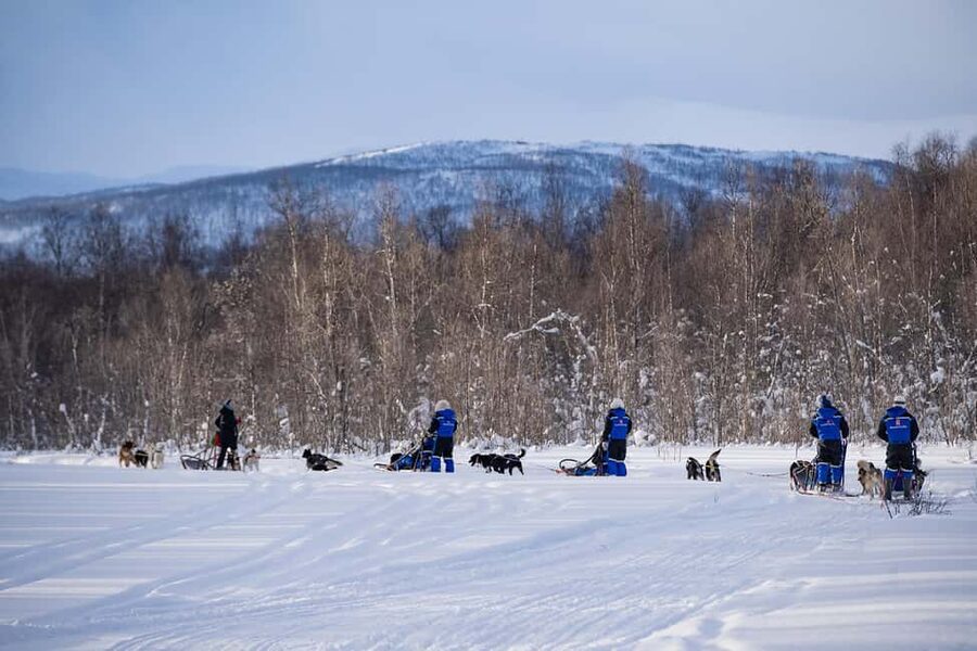 Tromsø: Dog Sledding Adventure at Camp Aspemo - Key Things I’d Actually Plan Around