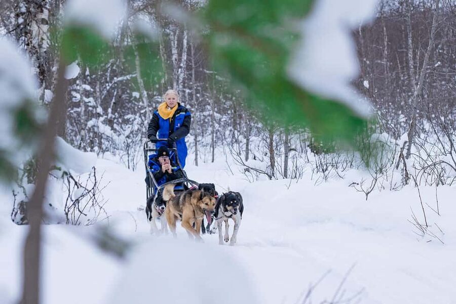 Tromsø: Dog Sledding Adventure at Camp Aspemo - From Tromsø Harbor to the Camp: The Part You Shouldn’t Rush