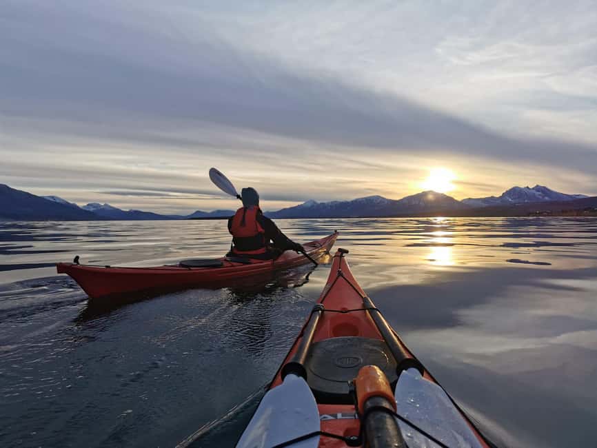Tromsø: Easy-going Guided Winter Sea Kayaking Tour - Why winter sea kayaking in Tromsø feels special