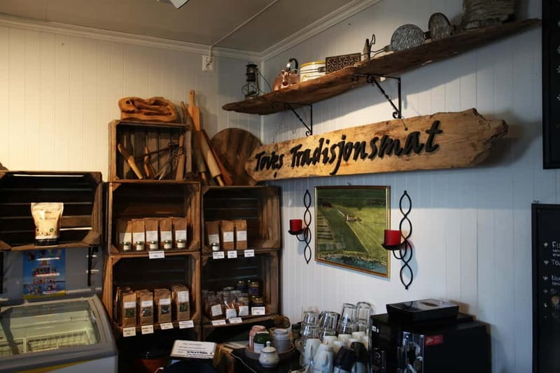 Tromsø: Easy Snowshoeing Tour with Coffee and Cake - Key Things To Know Before You Go