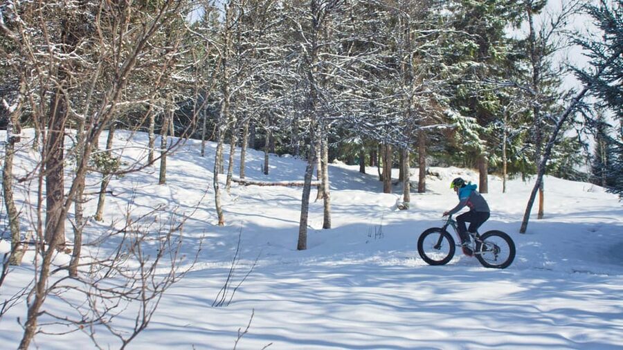 Tromsø: Electric fatbike trip on winter paths - Entering Tromsømarka: Winter Views Start Right After the City