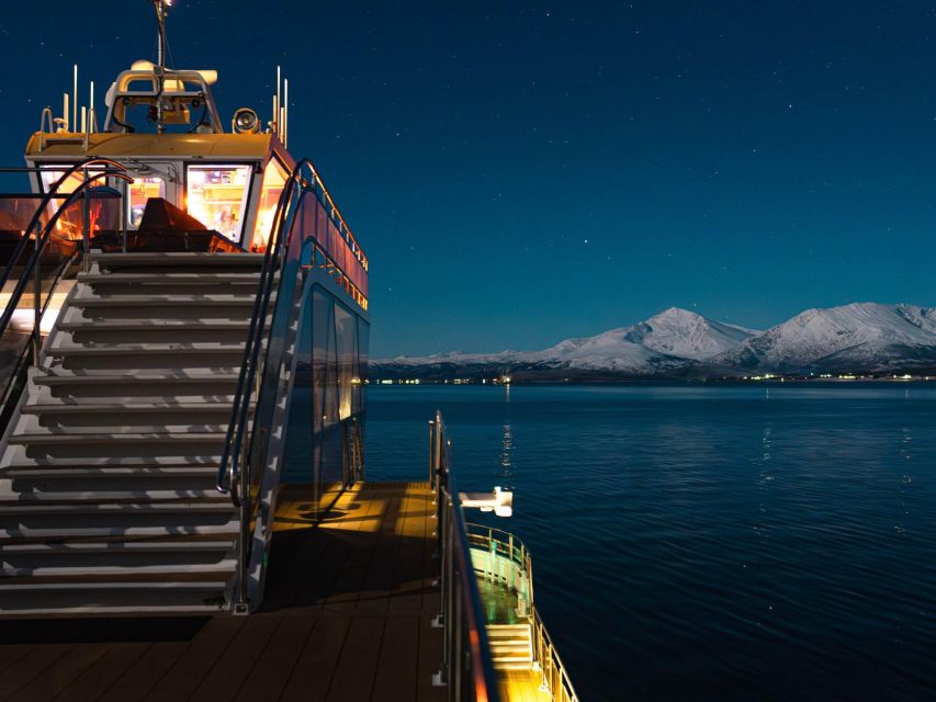 Tromsø: Electric Northern Lights Cruise - Who This Tromsø Electric Northern Lights Cruise Is Best For