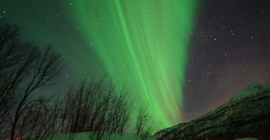 Tromsø: English/Spanish Aurora Pathfinder Tour with Photos - Warmth strategy: thermal suits, hot drinks, and what to pack anyway