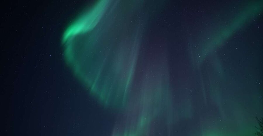 Tromsø: Evening Aurora Cruise (dinner optional) - Where to meet and how the night starts