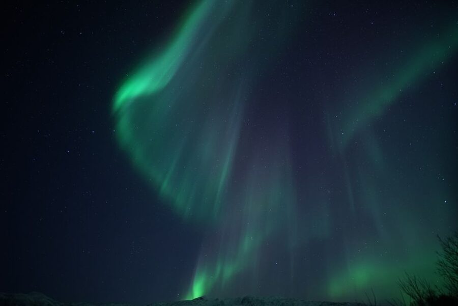 Tromsø: Evening Aurora Cruise (dinner optional) - Itinerary in motion: what happens during the 3.5 hours