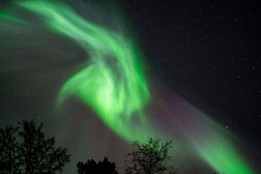 Tromsø: Evening Aurora Cruise (dinner optional) - The boat experience: heated cabin, deck time, and real flexibility