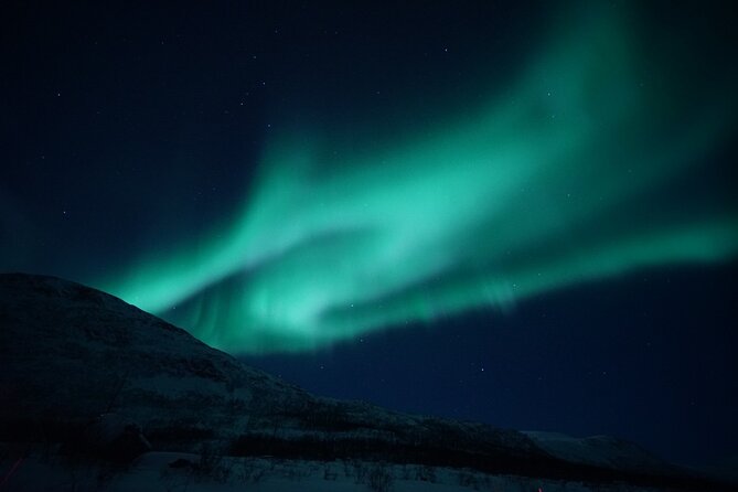 Tromsø: Evening Cruise with Northern Lights Opportunity - Key highlights you will actually feel on the night