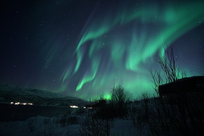 Tromsø: Evening Cruise with Northern Lights Opportunity - What you do when the aurora is active: crew directions that actually help