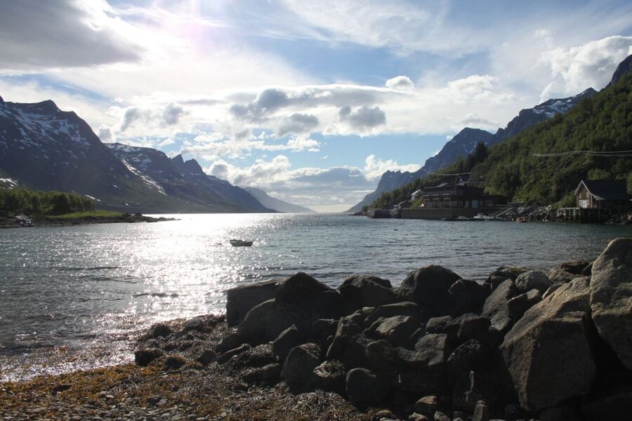 Tromsø: Exclusive Fjord Adventure by Bus - Who should book this bus fjord adventure