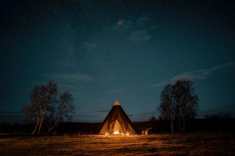 Tromsø: Exclusive Sámi Reindeer Experience with herders - Feeding reindeer in the snow: the moment that makes it worth it